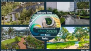 Landscape Elements won Landscape of the Year. Image: LIAWA