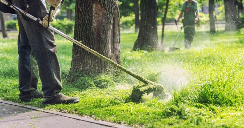 More than 225,300 students have benefitted from Free TAFE in Victoria since it began in 2019. Image: K-FK/stock.adobe.com