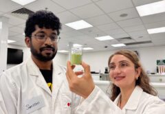 Samiddhi Gunathilake and Dr Mahsa Majzoobi with a beaker of desert plant Saltbush powder. Image: RMIT