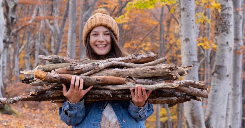 The 2026 autumn firewood collection season is open from Sunday 1 March to Saturday 30 June, 2026. Image: Aleksandar/stock.adobe.com