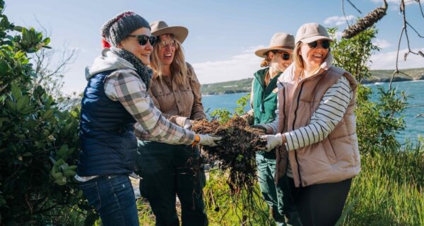 The NSW National Parks and Wildlife Service (NPWS) offers a Corporate Volunteering program for organisations and their employees to swap the office for the outdoors for a day. Image: National Parks NSW