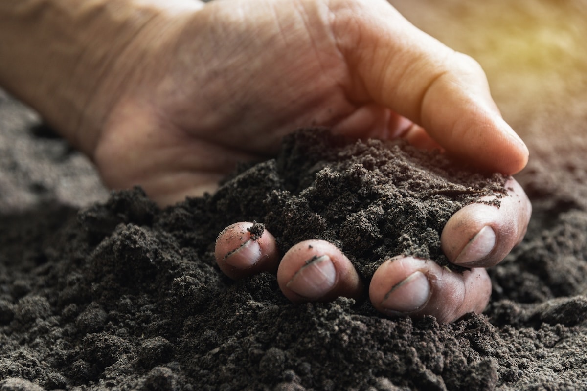 Exploring soil ecosystems
